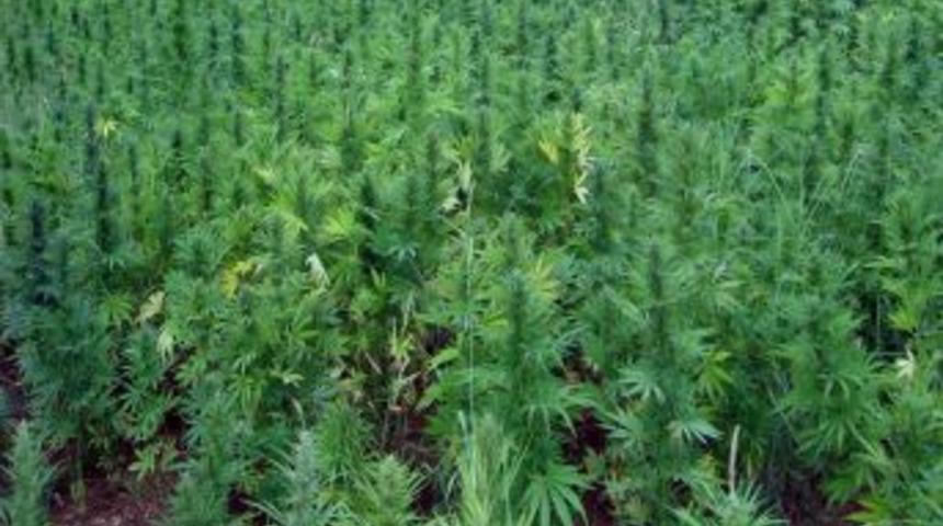 Diyarbakır'da 26 ton uyuşturucu ele ge&ccedil;irildi