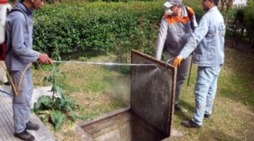 Sivrisinekle Etkin M&uuml;cadele