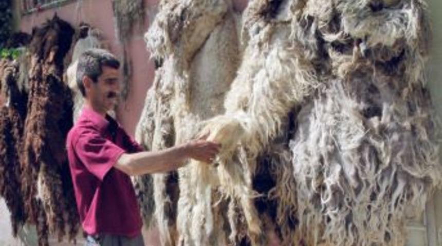 Koyun Y&uuml;n&uuml; Ramazan'da Da Rağbet G&ouml;r&uuml;yor