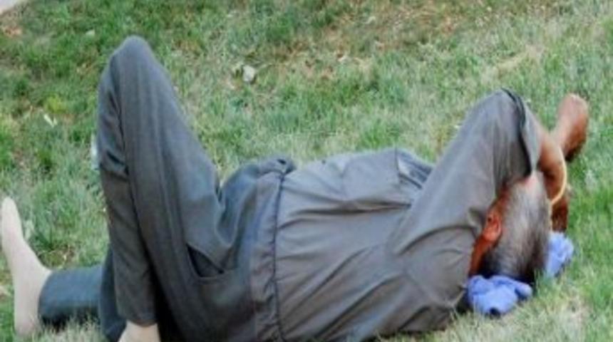 Sıcaklardan Bunalan Parklara Akın Ediyor