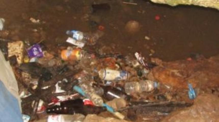 Zeus &Ccedil;&ouml;pl&uuml;ğ&uuml;