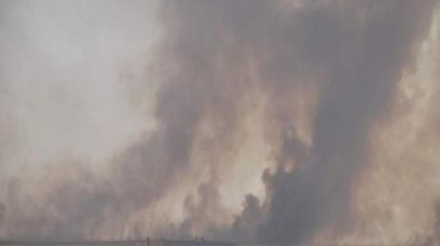 Yakılan Anız Doğal Hayatı Tehdit Ediyor