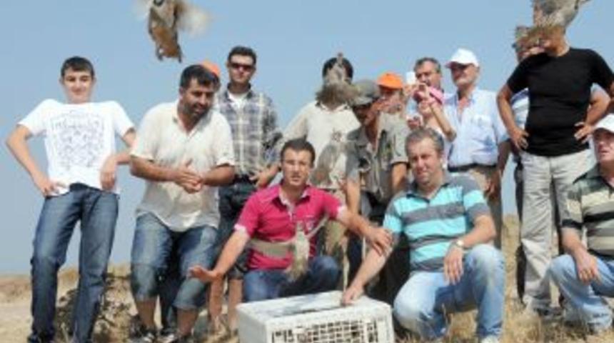 Manisa&rsquo;da 450 Tane Kınalı Keklik Doğaya Salındı