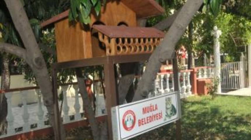 Muğla Belediyesi Kedileri &lsquo;ev&rsquo;lendiriyor