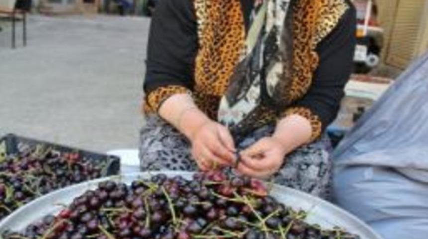 Karayemiş Y&uuml;z G&uuml;ld&uuml;r&uuml;yor