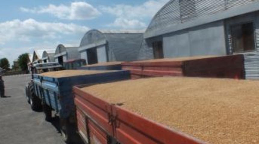 Tekirdağ Genelinde Toplam 112 Bin 632 Ton Buğday Alındı