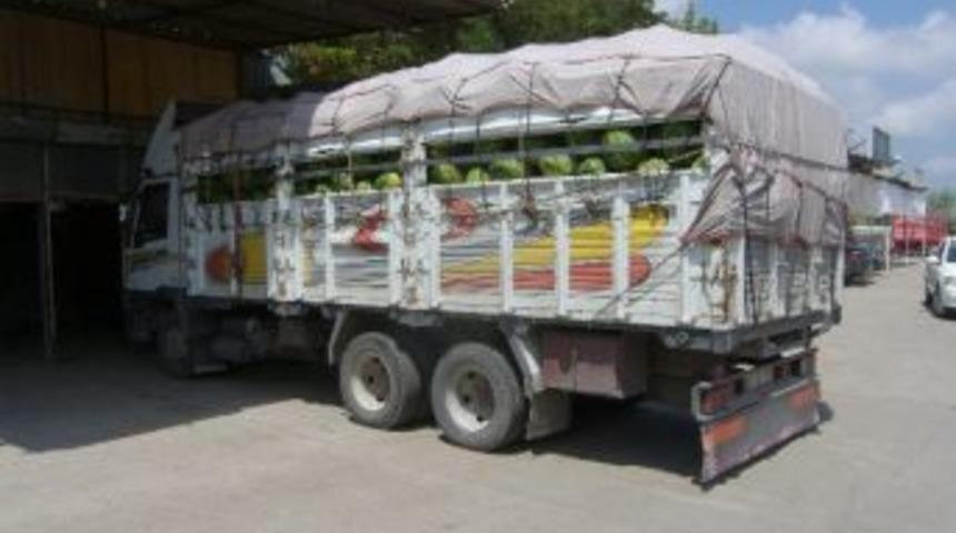 Bafra Karpuzu Eski Tadını Yakaladı