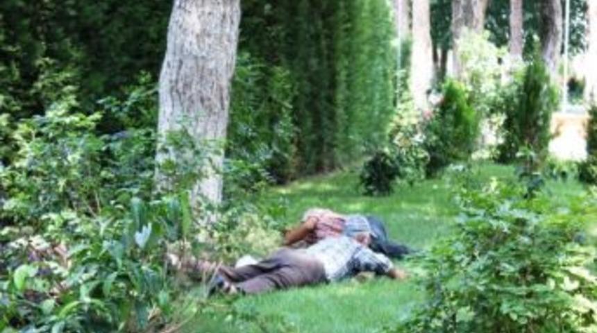 Sıcaktan Bunalan Vatandaşlar Ağa&ccedil; G&ouml;lgelerinde Uyudu