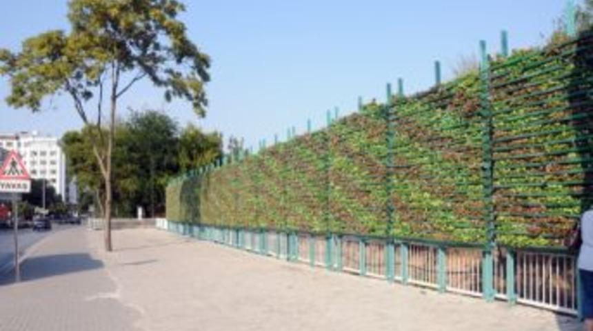 Balıkesir'de Ge&ccedil;iş G&uuml;zergahları Duvar Bah&ccedil;e İle S&uuml;sleniyor