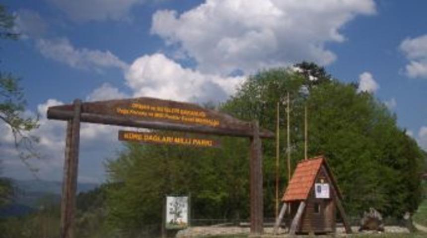 T&uuml;rk Ormancılığına Birleşmiş Milletler&rsquo;den &Ouml;vg&uuml;