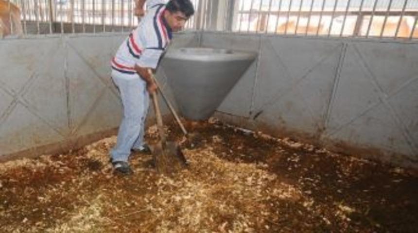 Büyükşehir'den Farklı Bir At-ık Projesi