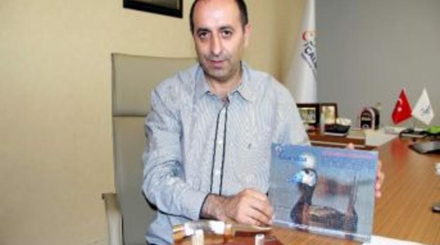 Samsun&rsquo;dan D&uuml;nya Markası Doğuyor