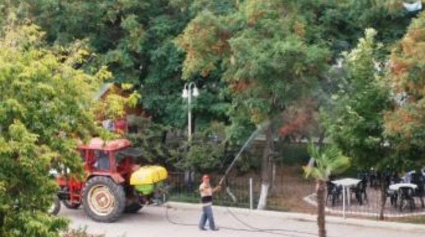 Şark&ouml;y&rsquo;de Sivrisinekle M&uuml;cadele Aralıksız Devam Ediyor