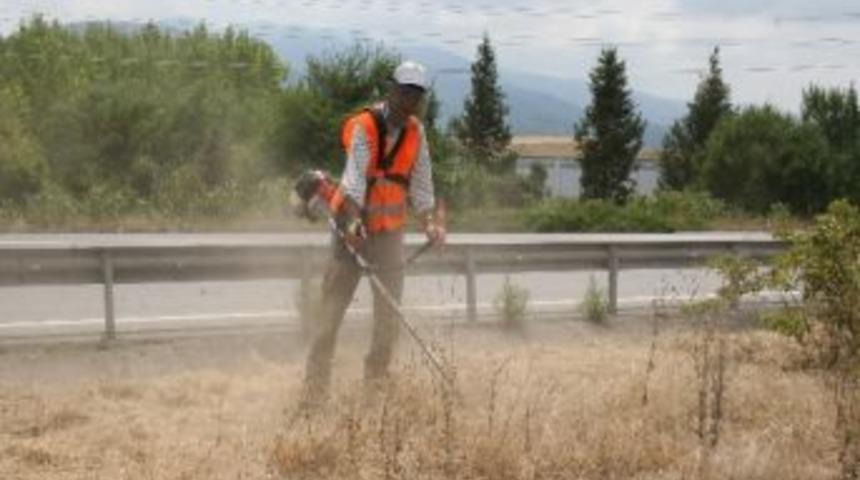 Tem'de Kuruyan Otlara Temizlik