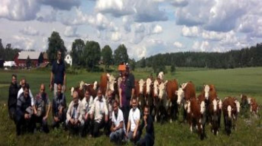 Damızlık Sığır Yetiştiriciliği İ&ccedil;in İsvi&ccedil;re'de Eğitim Aldılar