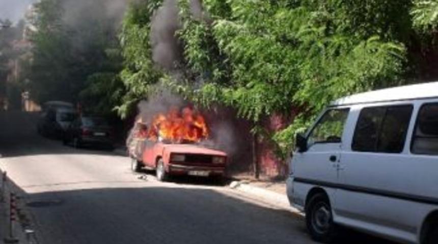 Ara&ccedil;lar Bir Sıcağa Dayanamadı