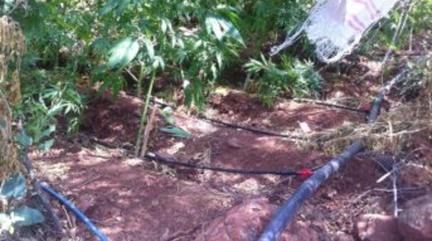 30 Milyon Lira Tutarında Uyuşturucu Ele Ge&ccedil;irildi