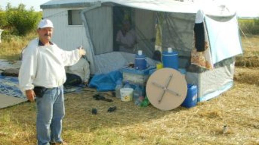 Ay&ccedil;i&ccedil;eği Balında Bereketli Yıl