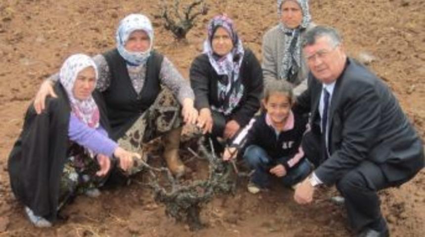 Keskin, &Uuml;z&uuml;m &Uuml;reticilerinin Kaderine Terk Edildiğini S&ouml;yledi