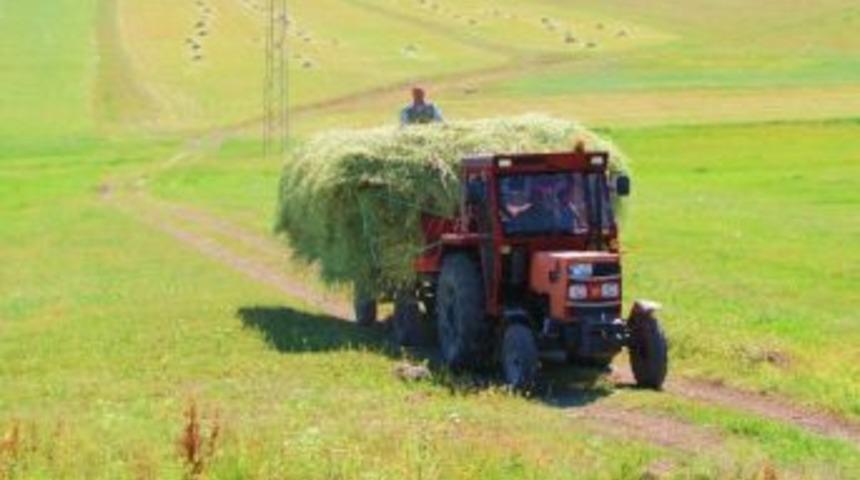 K&ouml;yl&uuml;lerin Ot Taşıma &Ccedil;alışması