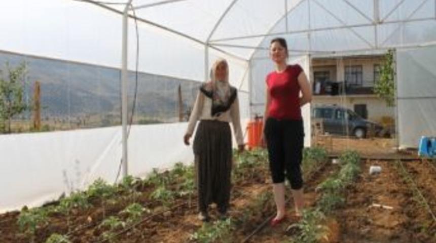 Tufanbeyli'de Tarımda Seracılık D&ouml;nemi