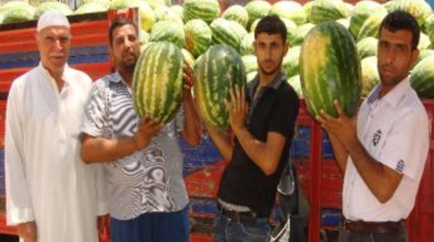 Suyla Gelen Karpuz Bereketi