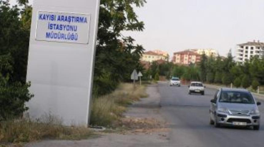 Malatya&rsquo;da Sıcaklık Zirve Yapıp D&uuml;ş&uuml;şe Ge&ccedil;ti