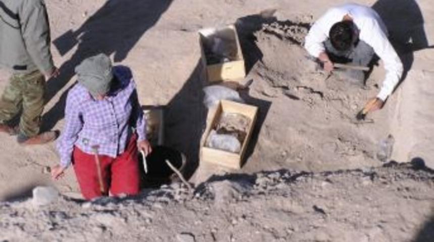 Aslantepe&rsquo;de Kazılar 15 Ağustos&rsquo;ta Başlıyor