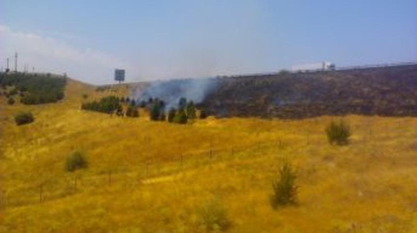 G&ouml;lbaşı'nda Orman Yangını