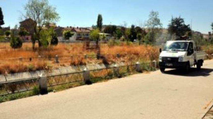 Odunpazarı Belediyesi Haşere İle M&uuml;cadele Etmeye Devam Ediyor