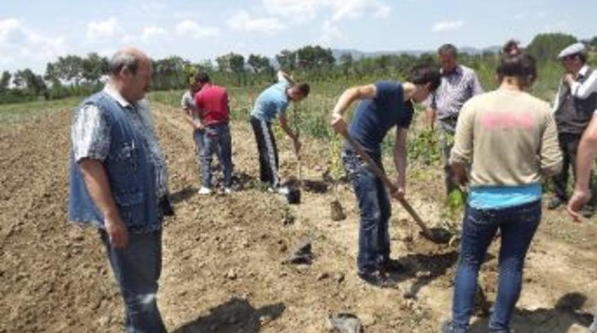 &Ccedil;ocuk Esirgeme Kurumu &Ouml;ğrencileri Daday&rsquo;da Fidan Dikti