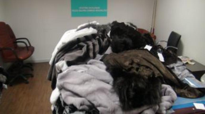 Havalimanında 500 Bin Liralık K&uuml;rk Ele Ge&ccedil;irildi