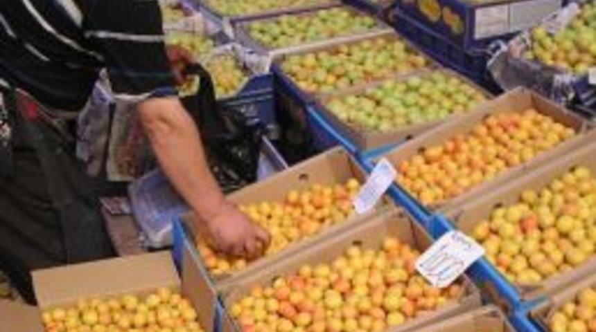 Yaş Kayısılar Ucuz