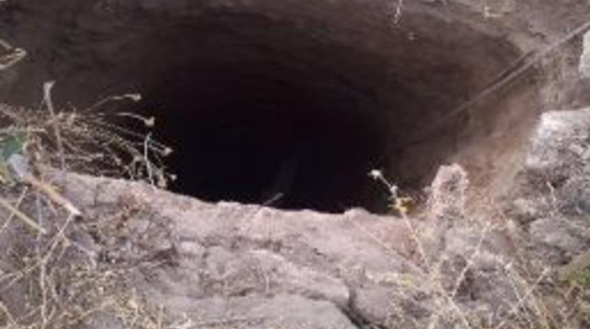 15 Metrelik Kuyuya D&uuml;şen İnek Sivil Savunma Tarafından &Ccedil;ıkarıldı