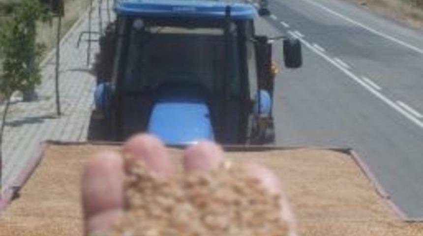 Hayrabolu Tmo&rsquo;da Buğday Alımlarına Devam Ediliyor