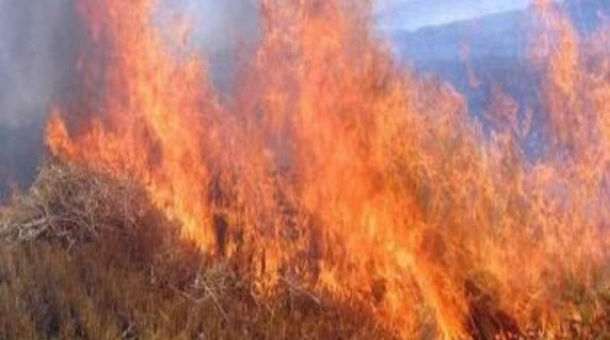 Anız Yangınları Yaşam D&ouml;ng&uuml;s&uuml;ne Zarar Veriyor