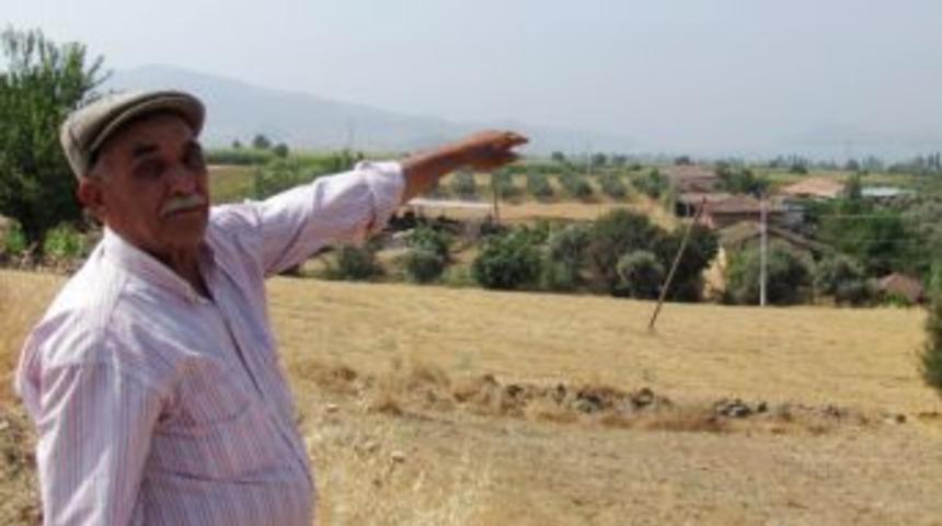 Beydağ Ve Kiraz&rsquo;da İncir &Uuml;retimi Darbe Aldı