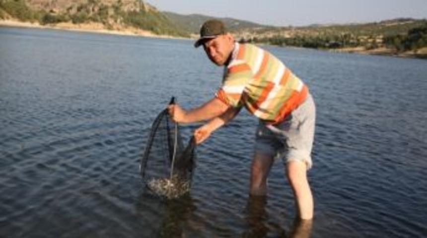 G&ouml;letlerdeki Balıklandırma &Ccedil;alışmaları Devam Ediyor