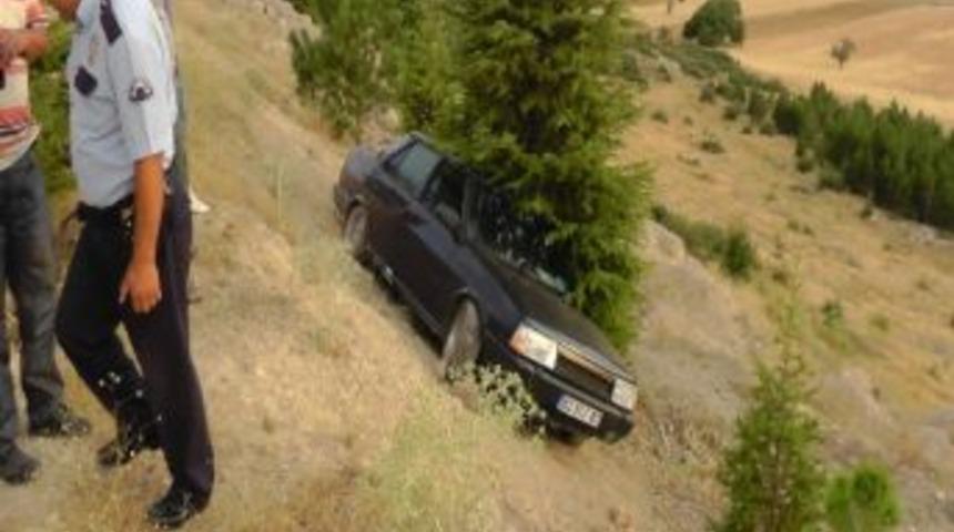 Otomobili U&ccedil;uruma Yuvarlanmaktan Sedir Ağacı Kurtardı