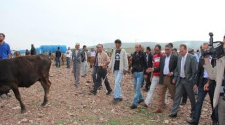 Chp Ardahan İl Başkanı Senem: "et İthalatı Durdurulmalı"