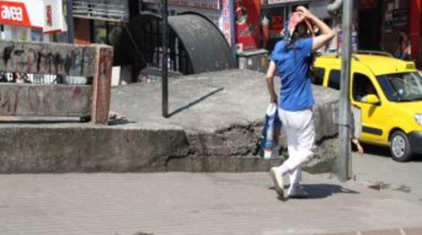 Sıcaktan Bunalan Fare, Kendini Sokağa Attı