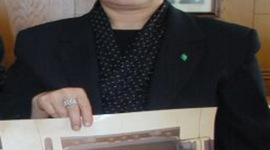 Tema&rsquo;dan Yenilenebilir Enerji &Ccedil;ağrısı