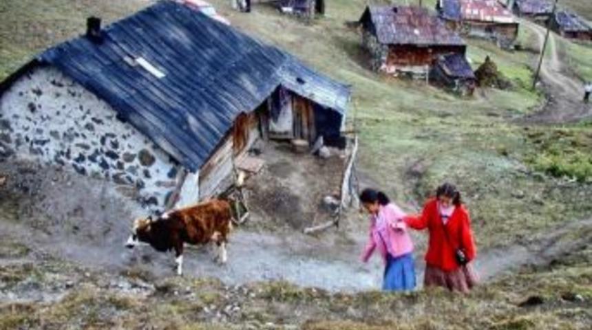 G&uuml;m&uuml;şhane Yaylalardaki Ahşap Mimari Geleneği Devam Ediyor