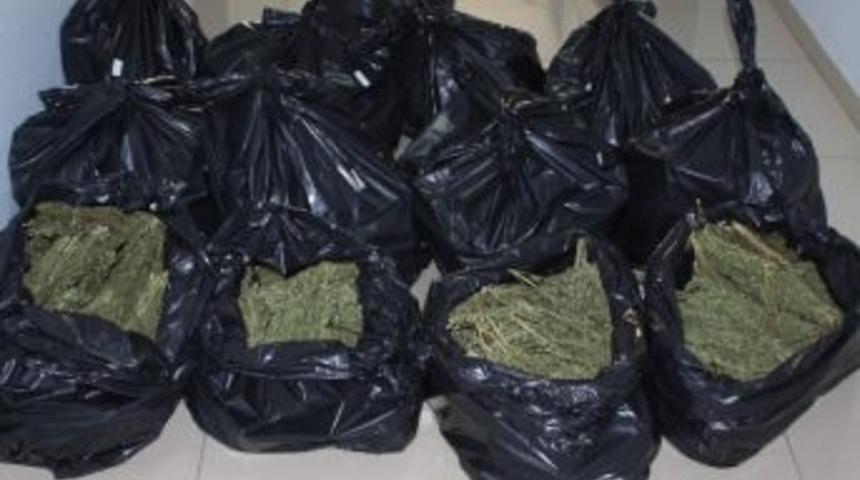 Gaziantep'te Uyuşturucu Operasyonu