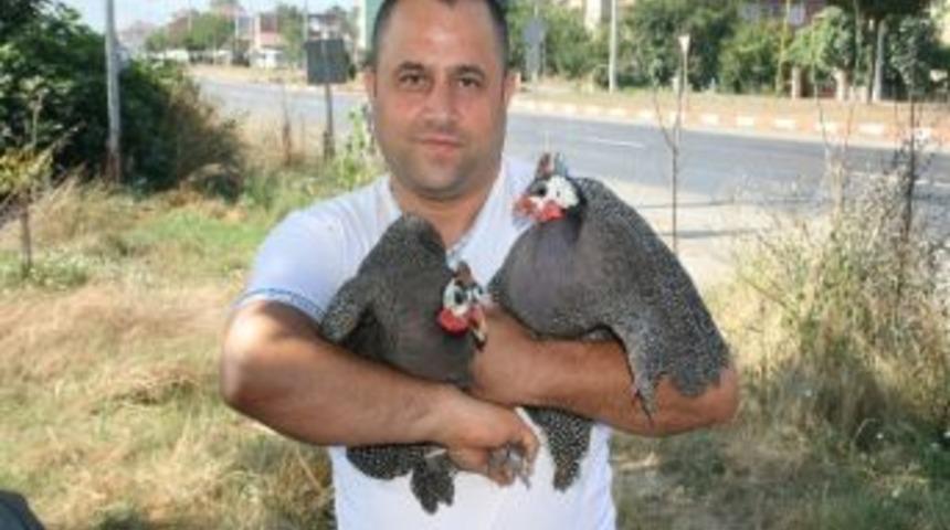 Hayvansever Lokantacı K&uuml;mesine Tokat Tavuğu Getirdi