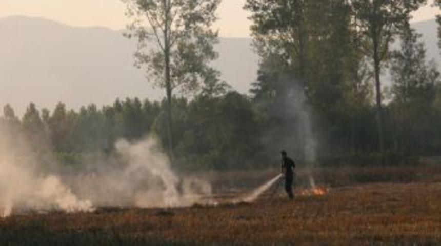 B&uuml;t&uuml;n Uyarılara Rağmen Yakmaya Devam Ediyorlar