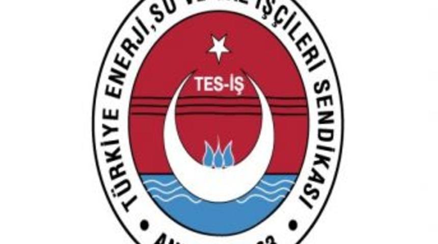 Termik Santrallerde 140 İş&ccedil;i Sendikalı Oldu