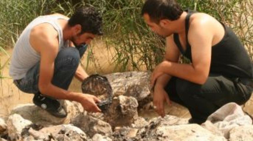 Van'da İnanılması G&uuml;&ccedil; Bir Olay