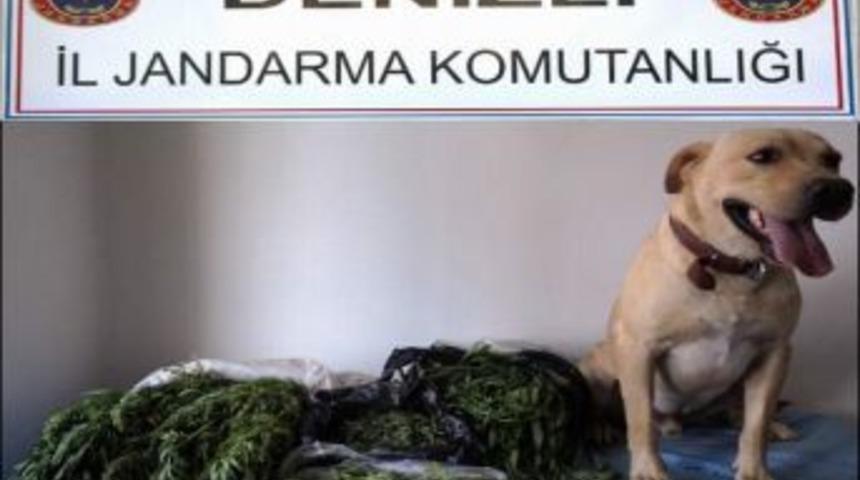 Denizli&rsquo;de Uyuşturucu Operasyonu