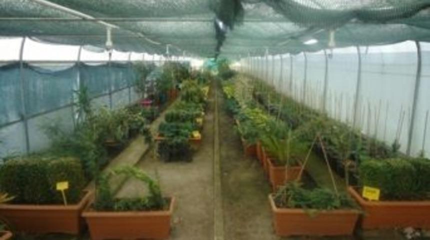 Canlı &Ccedil;it &Uuml;retecekler